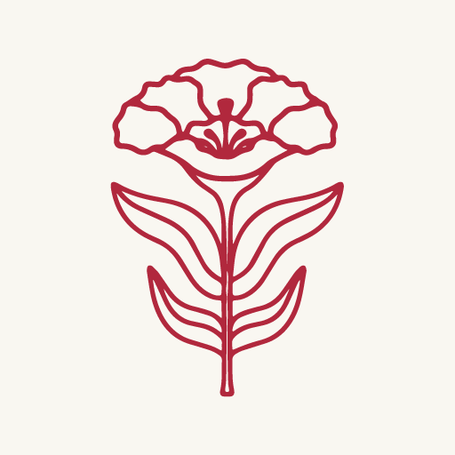 cropped-RSD-favicon-512.png